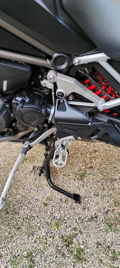Moto TRIUMPH 2023 occasion Ambléon 01300