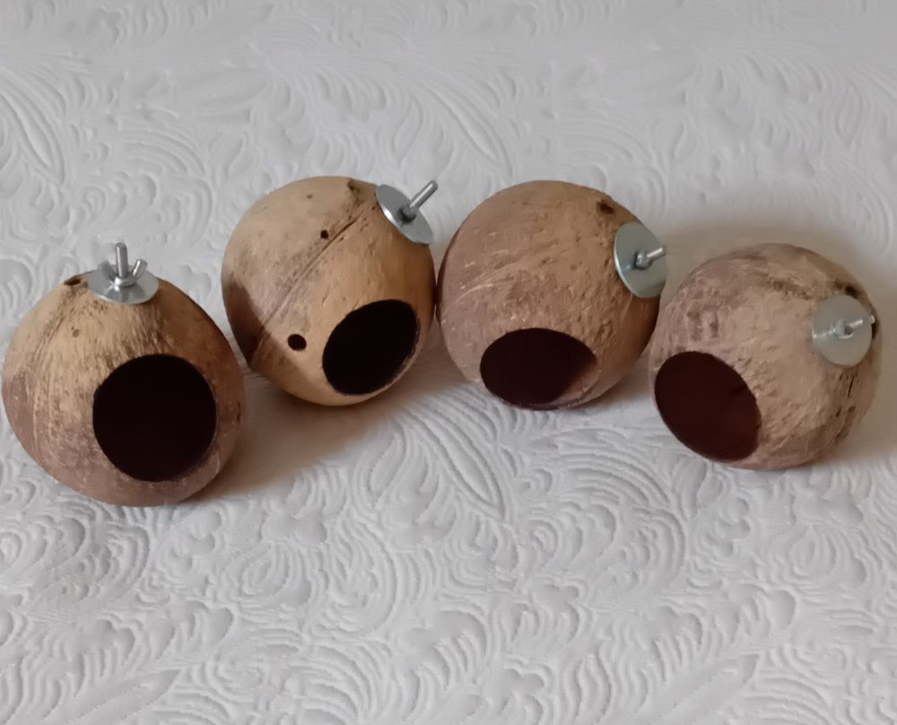   Accessoires pour oiseaux 