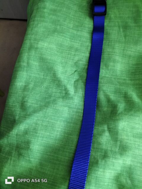 Collier chien 0 77280 Othis