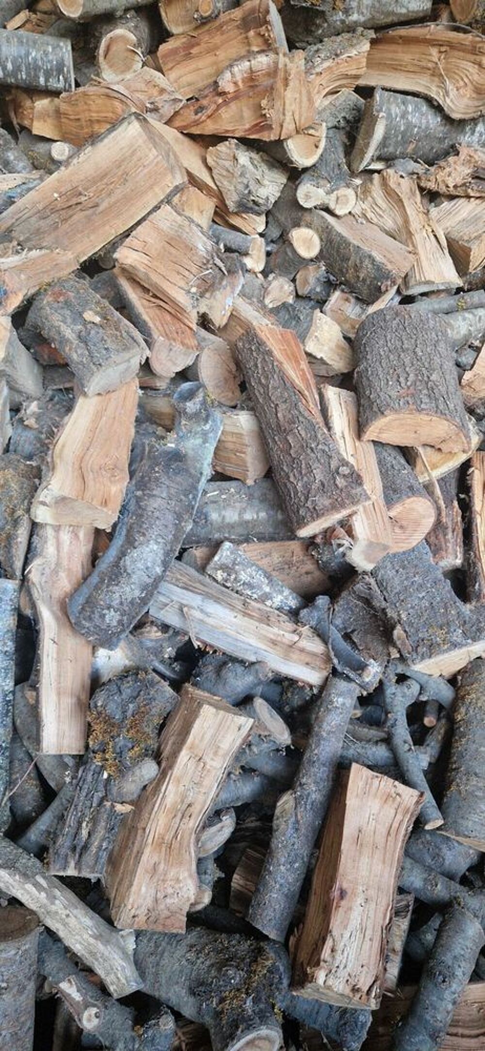 Bois de chauffage Cerisier Livrer Jardin
