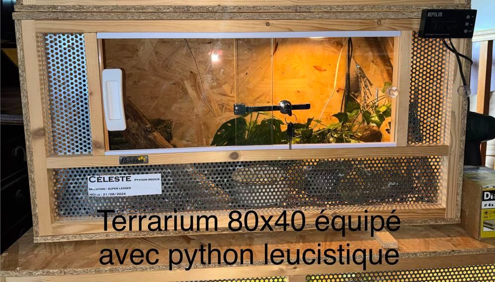 terrarium reptiles Meubles