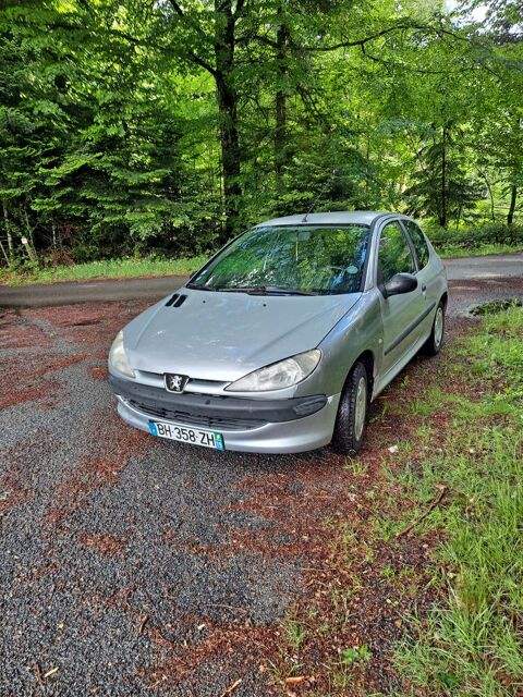 Peugeot 206 1.1i X Line 2001 occasion S&eacute;randon 19160