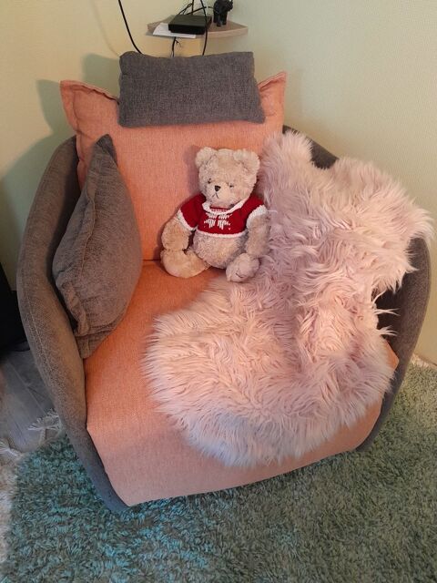 Affaire  saisir 
Fauteuil relax lectrique jamais servi 1 Courson-les-Carrires (89)