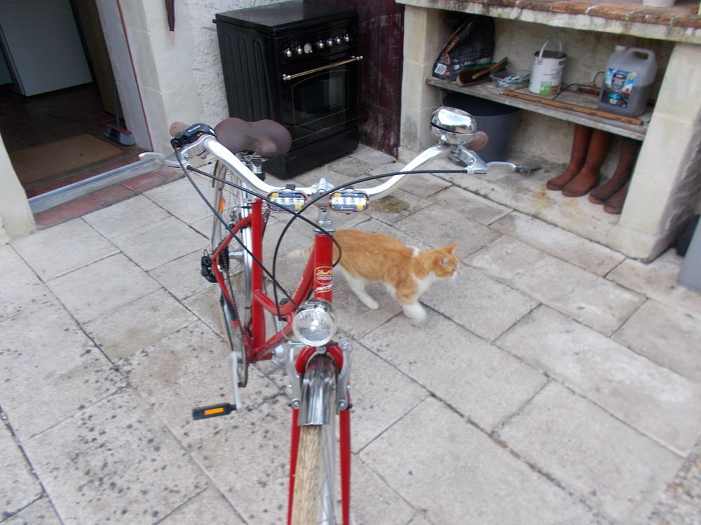 v&eacute;lo ville arcade cofee s6 2024 Vélos