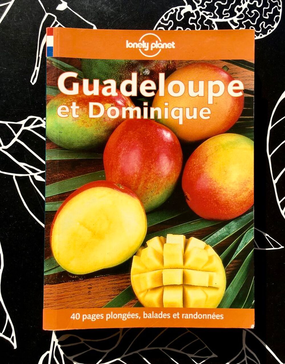 GUADELOUPE et DOMINIQUE, Guide Lonely Planet, 240 pages Livres et BD