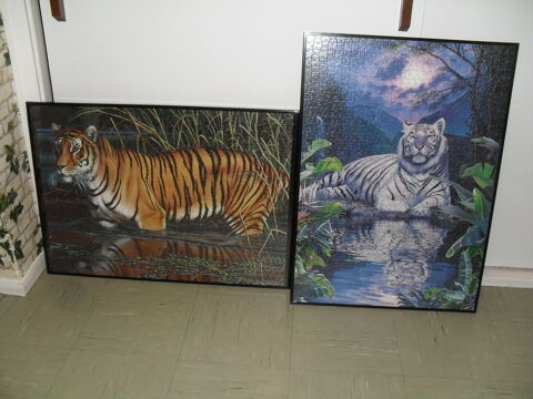 Puzzles tigres encadrs sous verre 50x70 15 Toul (54)