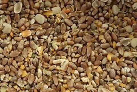 aliment graines basse cour / poule / lapin 26130 Saint-paul-trois-chteaux