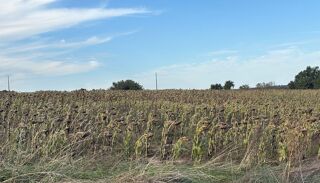  Terrain  vendre 412352 m