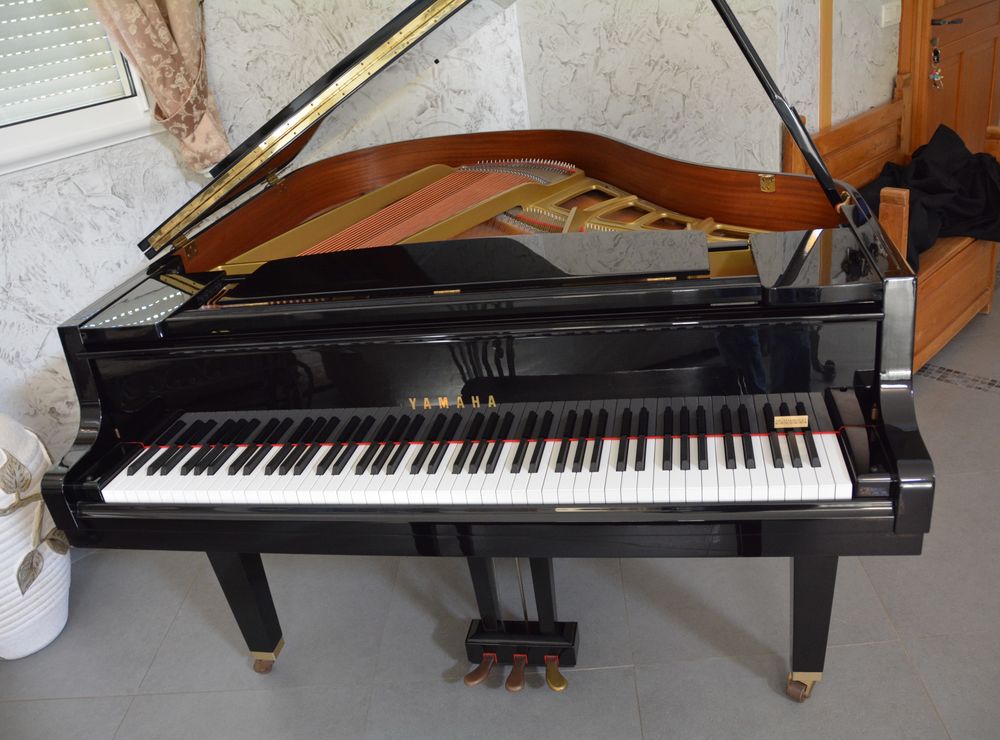 Piano &agrave; queue Yamaha 1/4 de queue GH1 Instruments de musique