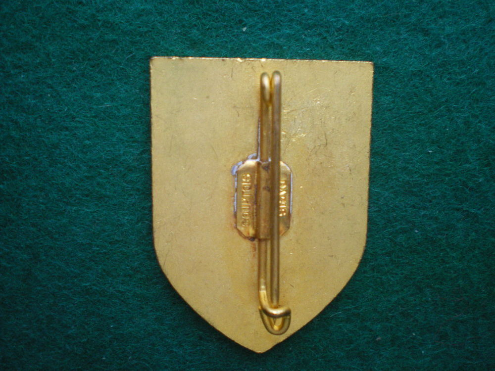 Insigne de Sant&eacute; - 2&deg;Compagnie M&eacute;dicale de Marche E.O. 