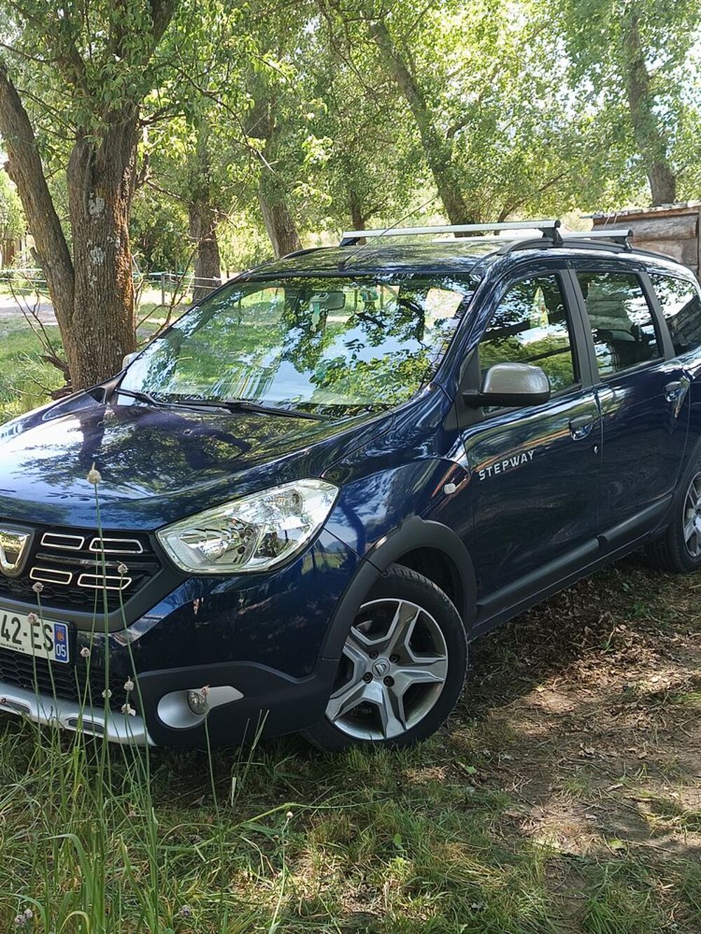 Lodgy TCe 115 7 places Stepway 2018 occasion 05200 Embrun