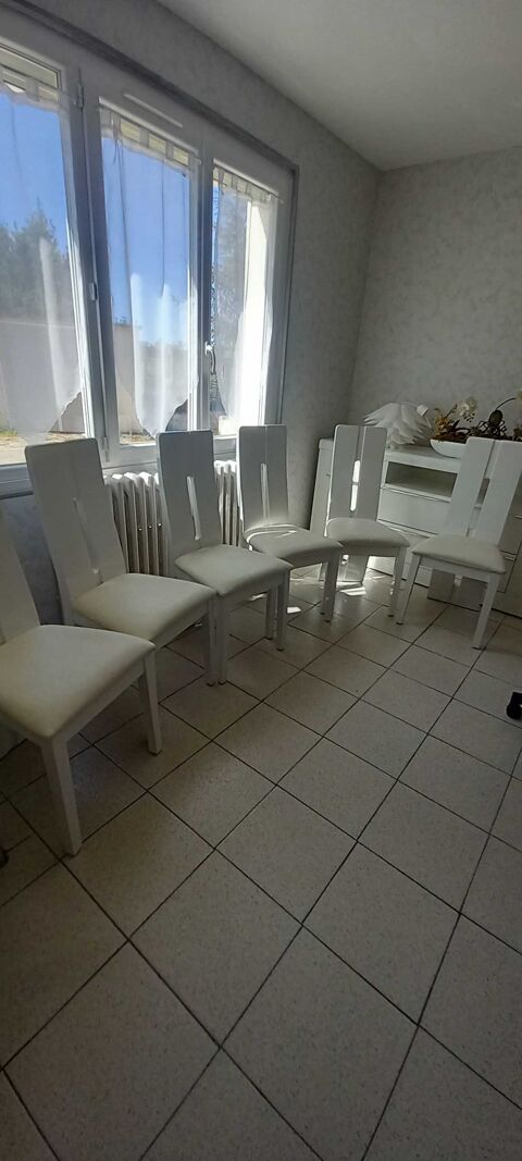 6 chaises salle   manger 50 Andrzieux-Bouthon (42)
