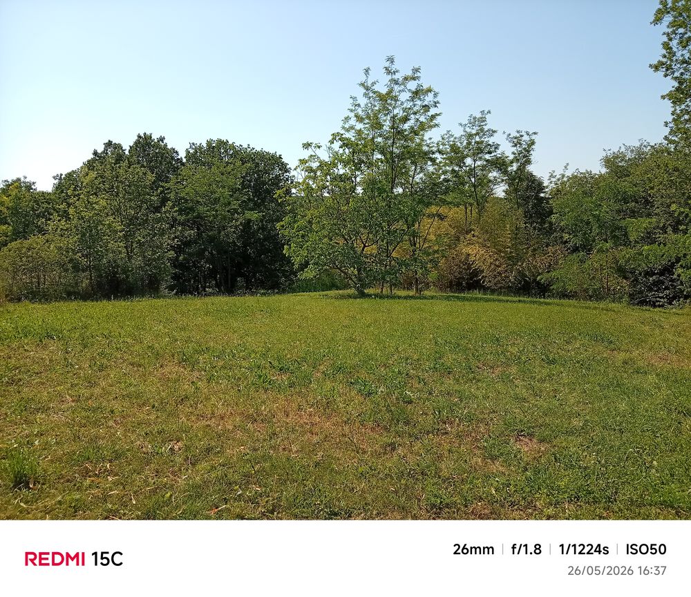 Vente Maison MAISON + JARDIN + CU .. DANS UN HAVRE DE PAIX ET DE VERDURE Albi