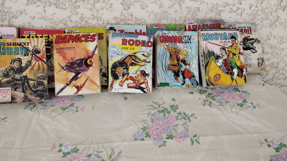 Divers 46 Albums Bandes Dessin&eacute;es Livres et BD