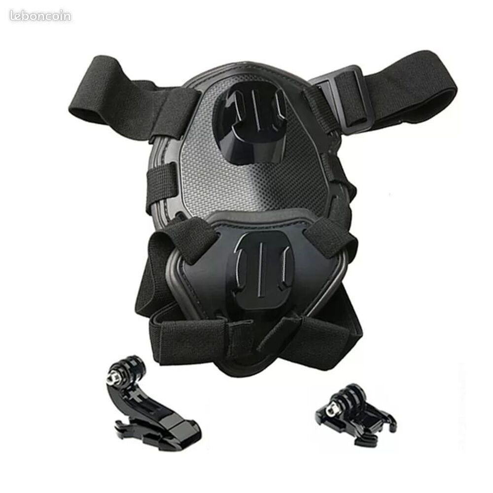   Harnais rglable pour camra ? Pour chiens et animaux domest 