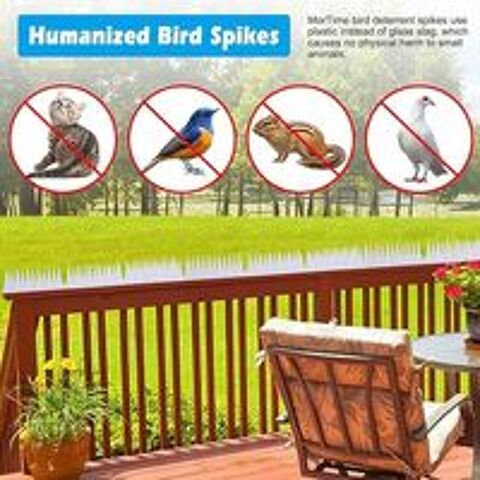   Pics anti pigeons  