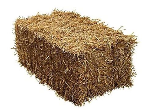 foin 17210 Chevanceaux