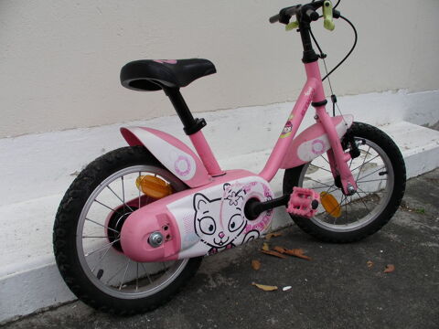 Vlo rose BETWIN 35 Fenouillet (31)
