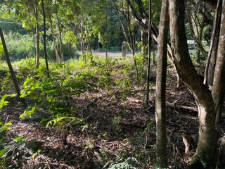  Terrain  vendre 500 m Bouillante