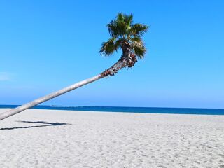  Appartement � vendre 2 pi�ces 28 m� Metz