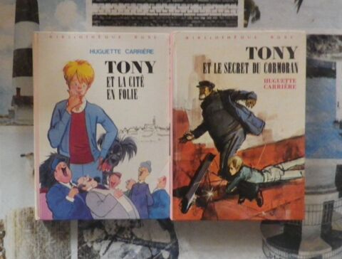 2 BIBLIOTHEQUE ROSE TONY (cit� en folie et secret du cormora 5 Bubry (56)