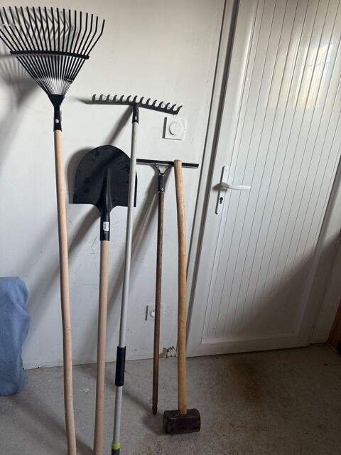 R�teau, pelle 5 Cormoz (01)