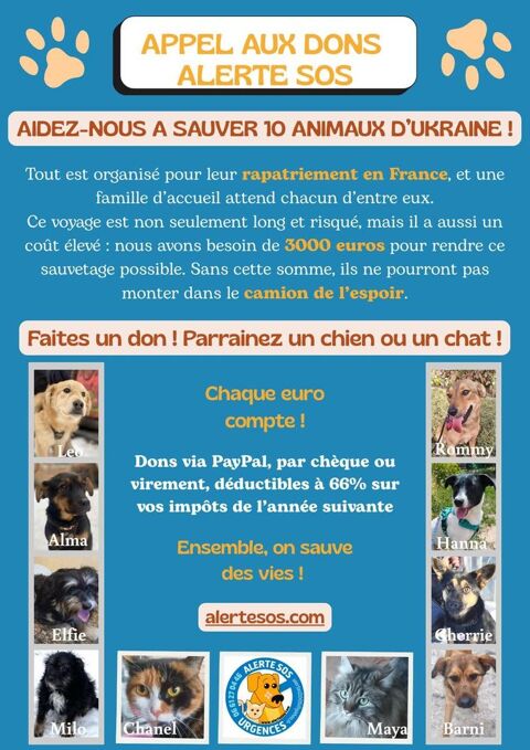 🚨 URGENCE VITALE � Ils ont besoin de vous ! 0 75018 Paris