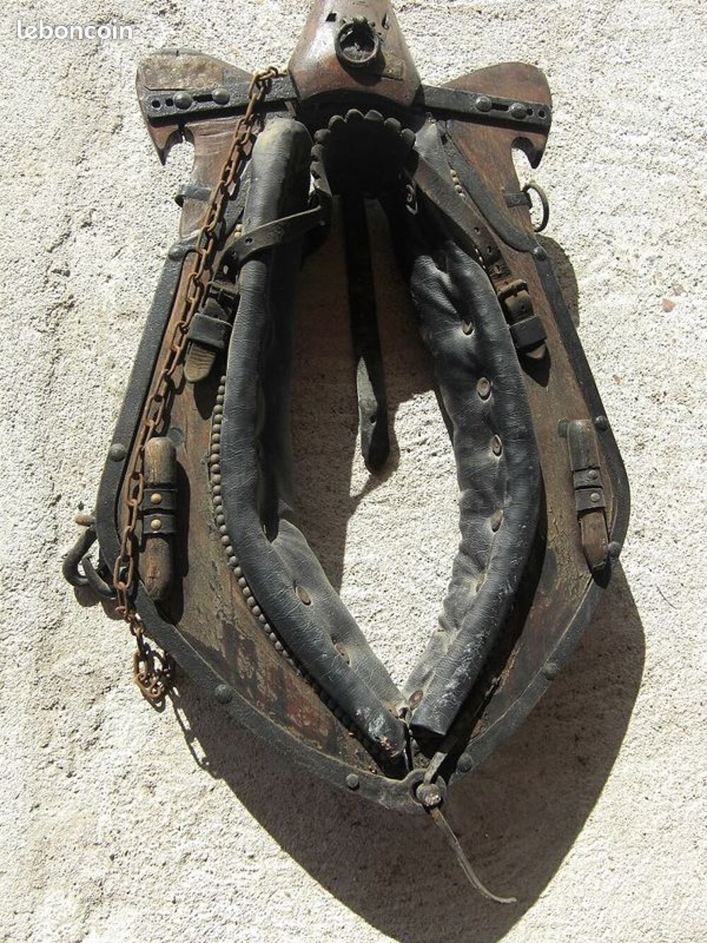 Collier de cheval de trait Décoration
