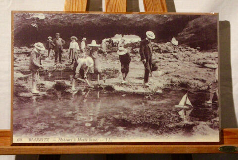 BIARRITZ :    PCHE AUX CRABES    25 Anglet (64)