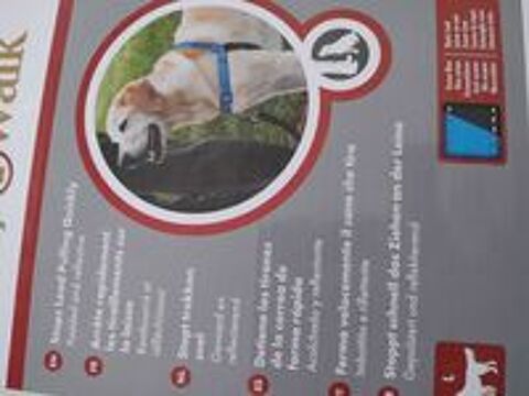   Harnais grand chien 