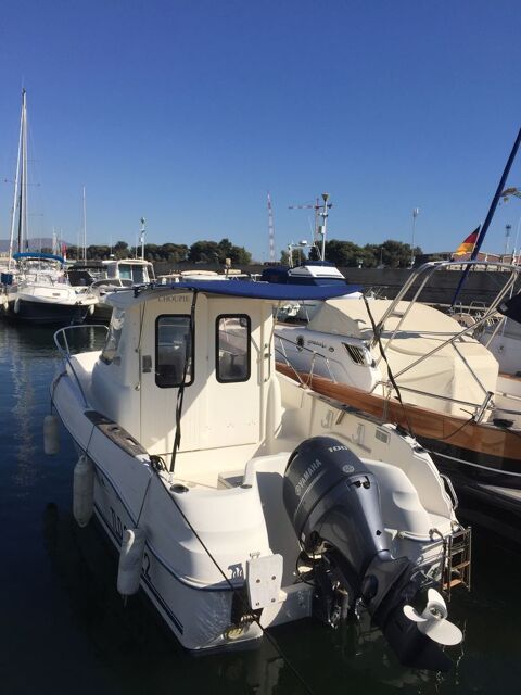 Bateaux &agrave; moteur P&ecirc;che-promenade 2006 occasion Ensu&egrave;s-la-Redonne 13820