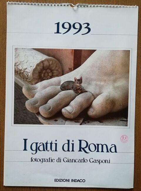 Calendrier  Gatti di Roma  de 1993 (49X35cm) 0 Cagnes-sur-Mer (06)