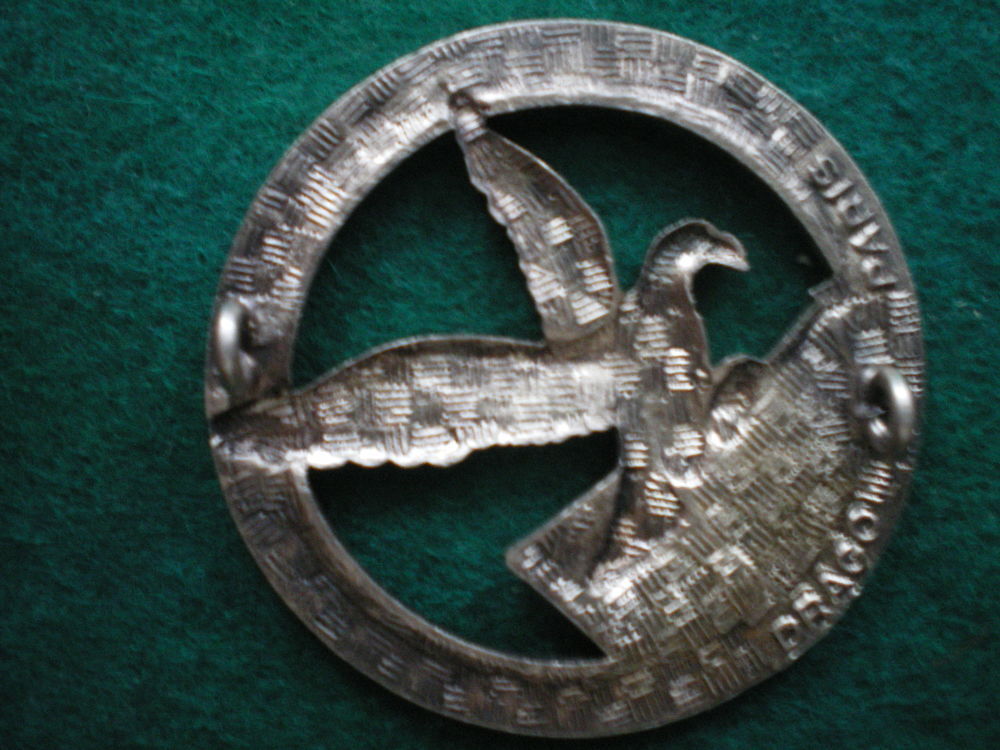 Insigne d'Infanterie - Commando Raynal 3&deg;RIA Piemont. 