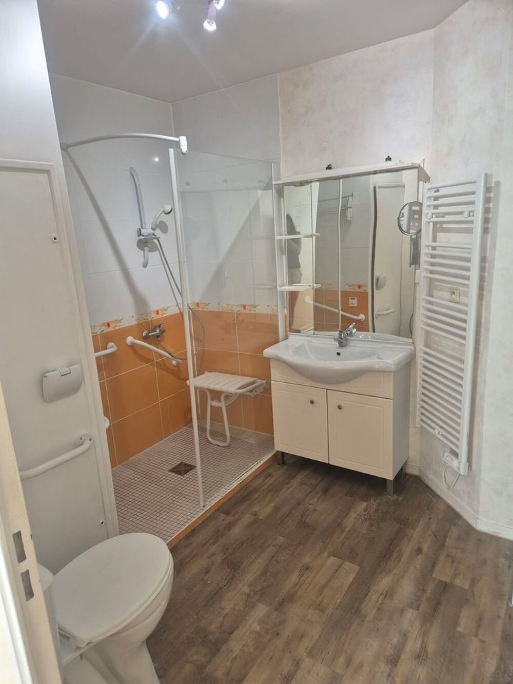 Location Appartement , Appartement 2 pièces avec grande terrasse Thorigny-sur-oreuse