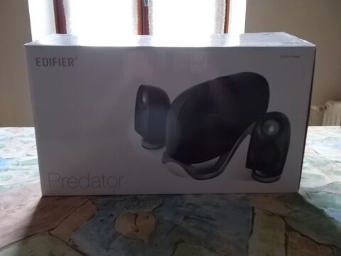 CAISSON DE BASSES 40 Saint-Didier-sur-Chalaronne (01)