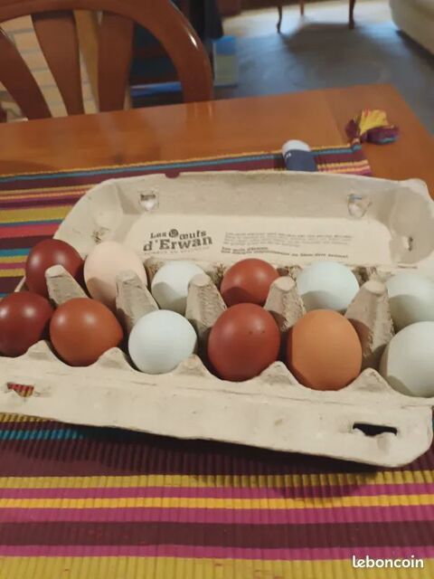 oeufs de poules  frais pour consommation 3 35150 Corps-nuds