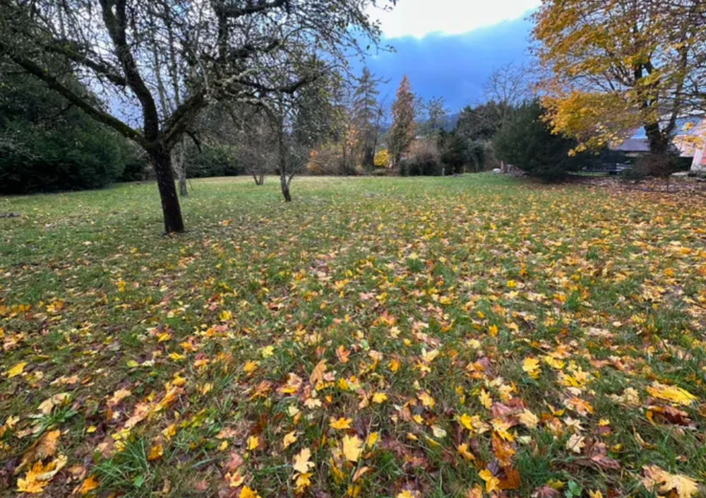 Vente Terrain Coup de coeur  Masevaux ! Masevaux