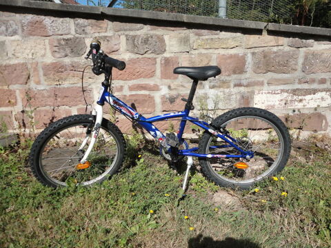 Paruvendu velo new arrivals