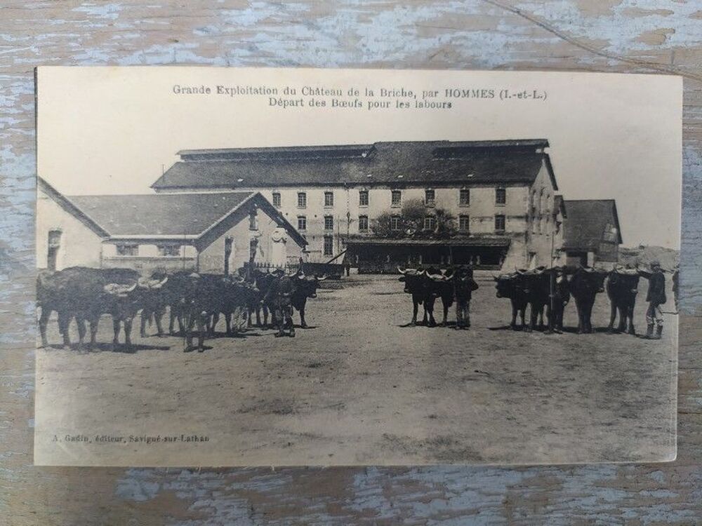 37. CPA HOMMES. Exploitation du Ch&acirc;teau de la Briche Boeufs 