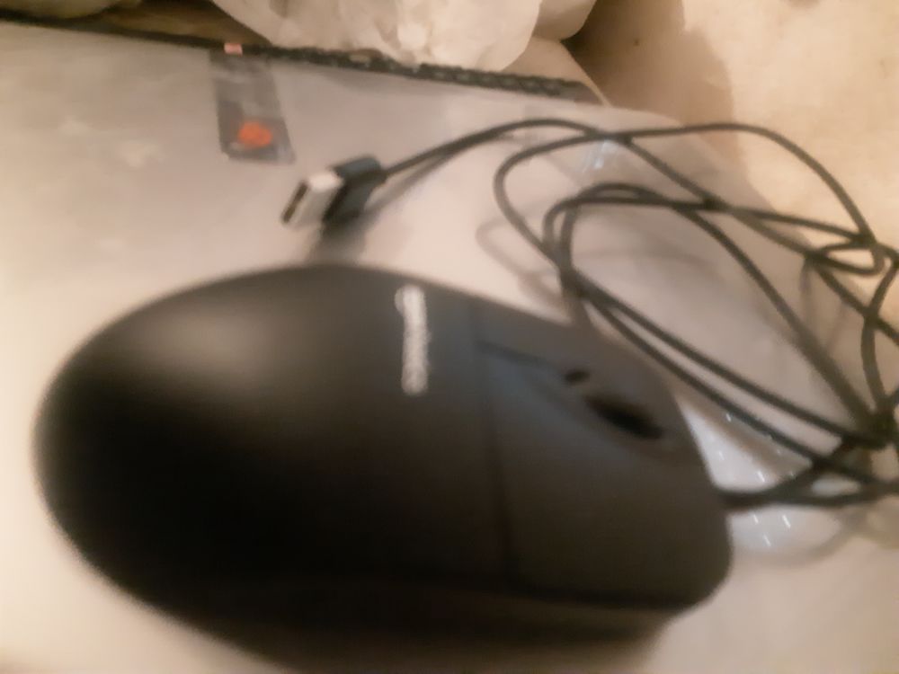 Souris avec fil noir Amazon basics Matériel informatique
