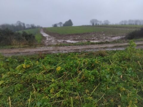 cherche remblai 0 29900 Concarneau