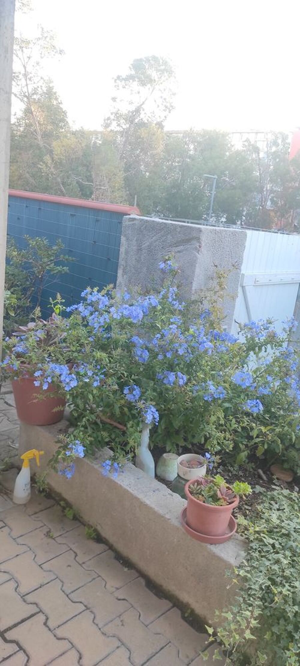 plantes int&eacute;rieures et ext&eacute;rieures + aquarium Jardin