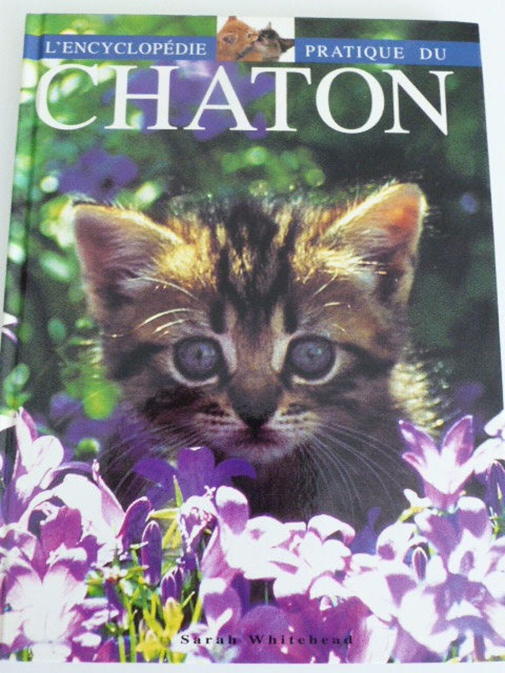 L'encyclop&eacute;die pratique du chaton Sarah Whitehead Livres et BD