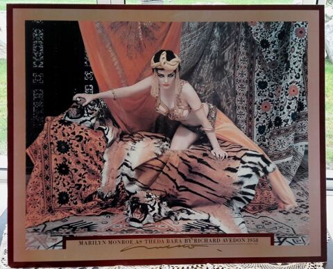 Impression sur plaque d'aluminium RICHARD AVEDON 100 Talmont-Saint-Hilaire (85)