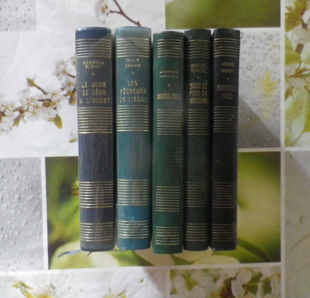 LOT DE 5 ROMANS RELIES (d&eacute;tails dans l'annonce) Livres et BD