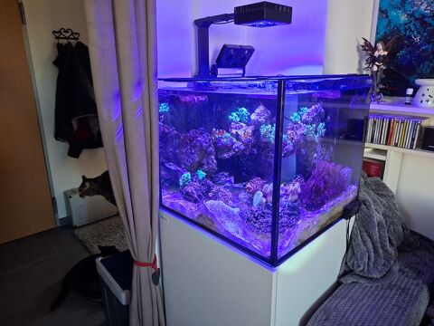 Aquarium marin reefer G2+ toutes options 1200 74100 Ville-la-grand