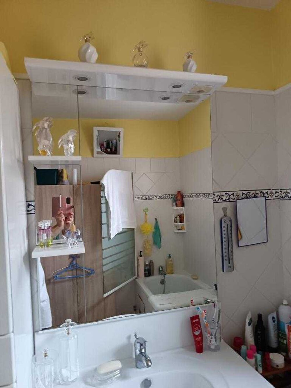 mobilier salle de bain Meubles