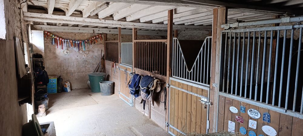 Vente Maison Maison idéale chevaux sur 4,17 hectares Grandchamp