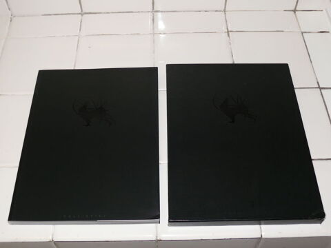 Livre :  Massive Black  16 Saintes (17)