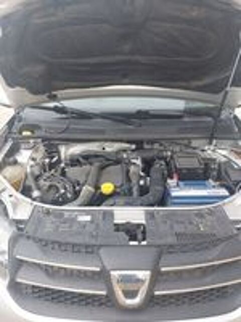 Sandero 1.5 dCi 90 FAP Stepway Ambiance 2014 occasion 47160 Razimet